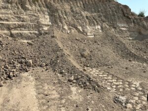 Fill Dirt-image