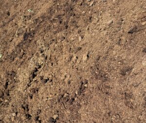 Manure-image