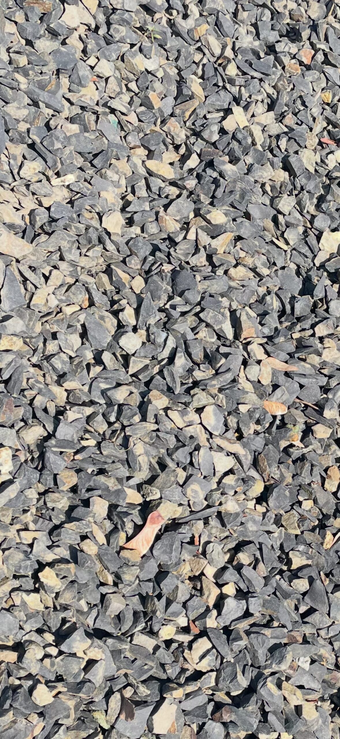 1" Permabark-image